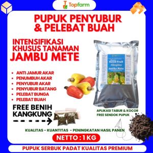 Pupuk Pelebat Buah Jambu Mete / Pupuk Booster Pelebat Buah Jambu / Pupuk Pelebat Buah Buahan Jambu / Pupuk Buah Jambu Mete / Pupuk Tanaman Mete