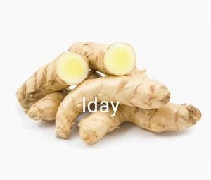 temu putih seger 1kg kunyit putih asli  obat herbal alami