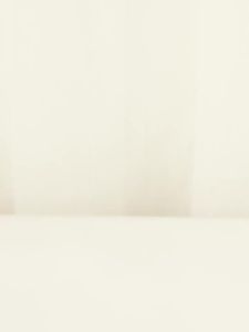 Ant Bait for Home Use: Complete Nest Elimination & Ant Killer Bait