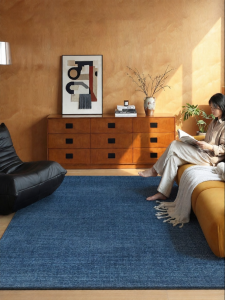 XINGLIANXIN | Waterproof Stain-resistant Wash-free Retro Mood Carpet
