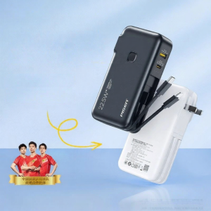 PISEN | Air Travel Compliant Power Bank with Built-in Charger and Cable 20000mAh