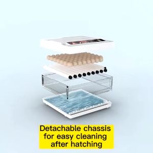 48/64/130 Eggs Incubator: Automatic Chicken Egg Incubator & 220V/12V Constant Temperature Incubator