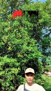 Tas Pinggang Pria Viper Arei Outdoorgear Selempang Waistbag