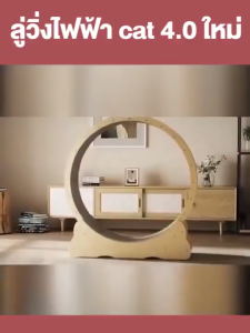 ลู่วิ่งแมว ล้อวิ่งไม้ ขนาดใหญ่ กรงล้อแมว ลู่วิ่งสำหรับสัตว์เลี้ยง ออกกำลังกาย โครงปีนแมว 5in1 ของเล่นแมว ติดตั้งง่าย