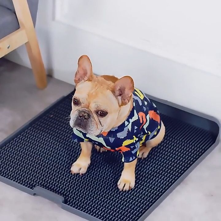 Dog Toilet/Flushable Pet Toilet/Easy Washable Dog Toilet/Pet Urinal Tray/Anti Stepping/Easy ...