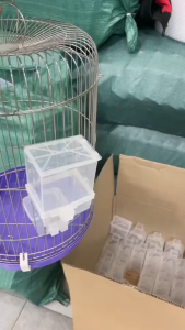 Máng ăn tự động cho chim cu gáy  Chim Cảnh  vẹt