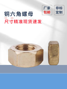 Copper Hex Nut Screw Cap M2-M12 Fastening Hardware Tightening Grade 8 Carbon Steel Hexagonal Bolt Nut for Industrial Use