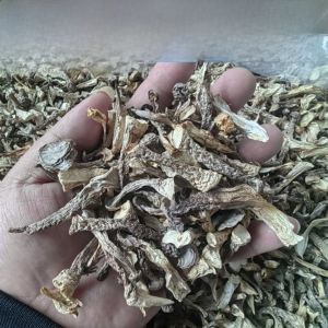 Dry Deer Mushroom 500g Crispy Fragrant Soup Ingredients Sulfur Free Ancient Field Specialty Home Use Edible Agricultural Products