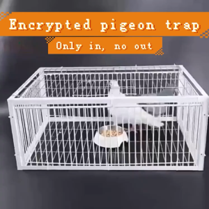 Pigeon Trap door pigeon Pigeon Trap Kulungan ng kalapati (4 door ) Fully automatic Bird Trap Pigeon
