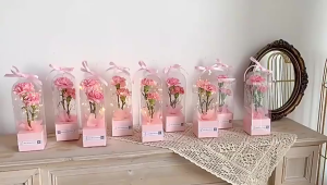 10PCS/SET Transparent Flower Gift Box Rose&Gold/White/Pink Single Rose Bouquet Flower Packaging Bag