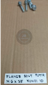 10 BUAH BAUT TOPI KUNCI 10 M6X35 BAUD PANJANG 35CM 35 CM PUTIH 35MM 35 MM FLANGE BOLT M 6 X 35 BAUT 6X35 6 X 35 PITCH DRAT 1.0 SEKRUP SKRUP