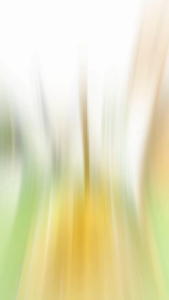 Teh Celup Daun Kelor Original Asli Organik Herbal Poty