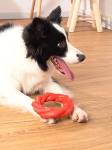 Dog Chew Toy for Aggressive Chewers/Tough Durable Natural Rubber Puppy Chew Toy/Interactive Training Teething Toys