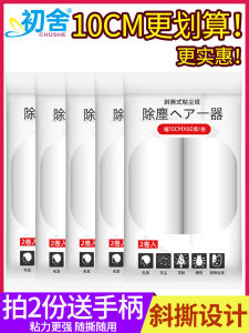 10cm Home Use Sticky Dust Remover: A Comprehensive Guide