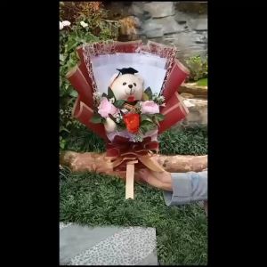 (READY BOUQUET) BUKET BONEKA WISUDA DAN SLOT UANG 10 LEMBAR /BUKET UANG KOSONG / BUKET BUNGA BONEKA / BUKET KELULUSAN /BUKET ULANG TAHUN