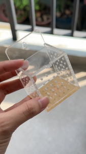 Box Trùng Chỉ – Nuôi Trùng Côn Trùng Sống Cho Cá Ăn - T01 - RED DIY