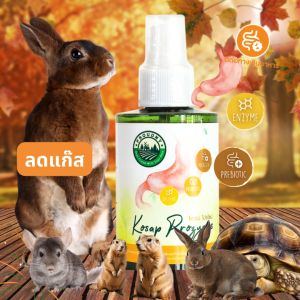 ผลิตภํณฑ์ช่วยย่อยโปรไซม์ป้องกันการเกิดแกสในกระต่ายทุกวัย 120ml