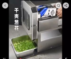 เครื่องสไลด์ หั่น สับ ซอย ผักผลไม้ แบบอัตโนมัติ Stainless steel vegetable cutter