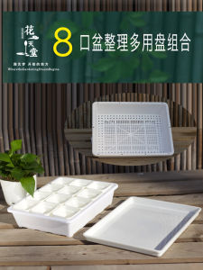 8-Caliber Succulent Plastic Square Basin Organizing Basket Water Tray Balcony Greenhouse Flower and Vegetable Seedling Planting Cutting Tray