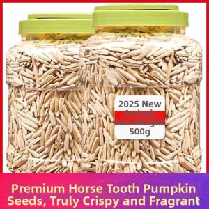 Premium Aksu Long Marrow Melon Seeds 5 lbs