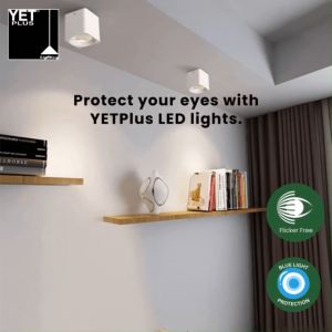 LEDEON UNIVERSAL Y818 Y819 1062 1063 Double Color Duotone LED Recessed Panel Downlight Surface Ceiling Light 8W+4W 12W+6W Daylight + Blue/Warm White