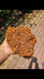 Vỏ trấu tươi trộn xơ dừa trồng cây Mai vàng 50dm3 (8-10kg) Minh Hân Garden