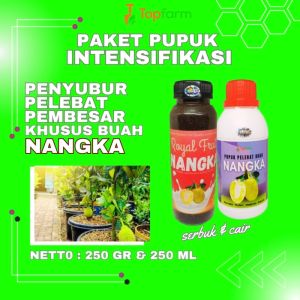 Pupuk Nangka Cepat Berbuah / Pupuk Pelebat Buah Nangka / Pupuk Booster Buah Nangka / Pupuk Buster Buah Nangka / Pupuk Nangka Cempedak