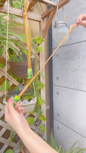 10Rolls Fly Catcher Sticky Fly Paper Eliminate Flies Insect Hanging Bug Glue Paper Catcher Trap Sticky Flies Indoor Sticky Strip