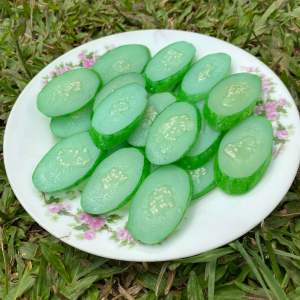 Replika irisan timun (1 set isi 5pcs) / dummy sayuran / dekorasi meja makan /mainan anak / etalase toko