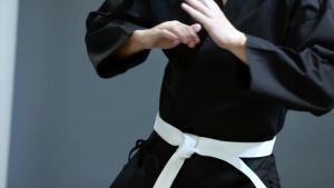 Carlanisa White Belter Karate Uniform Set Sportwear Taekwondo Karate Martial Arts Costume White MMA Clothes