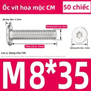 Yi Se Dian Zi | Vít Chống Trộm Đầu Phẳng Inox