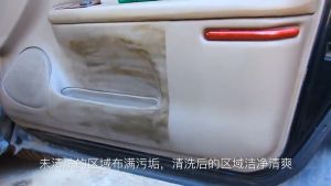 Xịt Vệ Sinh Tẩy Rửa Đa Năng Turlte G-4034 Dùng Trên Nhiều Bề Mặt Dung Tích 500ml