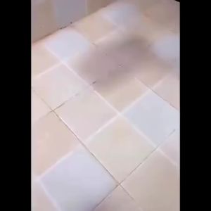 MLADEN Shower Foot Scrubber Washing Brush Exfoliating Cleaning Massage Slipper Bath Shower Pedicure Spa Rub Feet Shoe