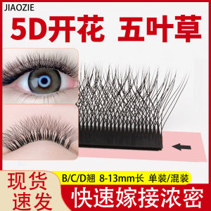 Thickened Eyelash Extensions Yy Three-leaf Clover Four-leaf Clover Dense Not Spreading Root 5d Flowering Beauty Eyelash Salon Special Planting