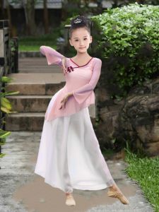 Elegant Classical Dance Practice Suit Performance Costume National Dance Exam Grade Form Body Dance Gauze Dress