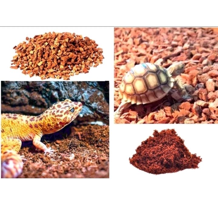 exotic reptile bedding terrarium coconut soil cocopeat husk hermit crab