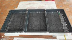 ถาดไดโซะ รู แพ็คละ 3 ใบ สินค้าพร้อมจัดส่ง ค่าส่งไม่แพง ไดโซะ ไดโซะ ราคา - Lazada