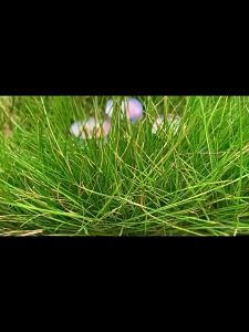 Christmas Scented Candles & Soy Wax Handmade Jars: A Comprehensive Guide