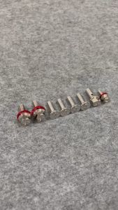 Bộ Ốc Dàn Chân Trước Salaya V2 Cho Wave Future Vario Airblade Vision Chuẩn Inox304 Siêu Sáng