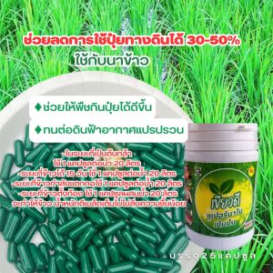 เขียวดี บำรุงพืชทางใบชนิดแคปซูล เข้มข้น สูตรเข้มข้นพิเศษ