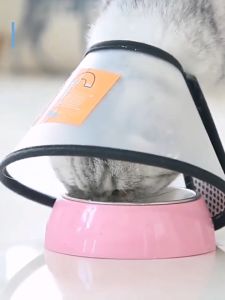 PET DIARY Corong Penutup Leher Kucing Anjing Cone Neck Collar Perawatan Hewan Peliharaan