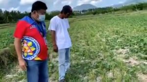 CANAAN NANO MULTIPURPOSE ORGANIC FOLIAR - 1 GALLON