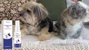 Yegbong สเปรย์ไล่แมลงและกำจัดกลิ่นสัตว์เลี้ยง น้ำยาไล่แมลงสำหรับแมวและสุนัข สเปรย์ระงับกลิ่นกาย