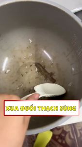 Chai Vim Nano 500ml Xịt Thằn Lằn Thạch Sùng Mùi Hương Dễ Chịu Xuất Xứ Thảo Mộc - Xua Đuổi Muỗi Gián Thạch Sùng