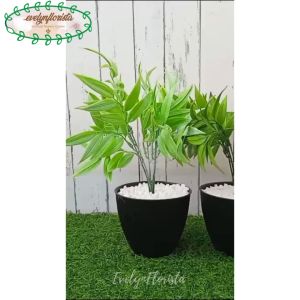Tanaman Hias Daun Exo Terra Silk X5 Latex Artificial Pot Pastel Kerang Hitam Tanaman Dekorasi Meja Rak Aesthetic