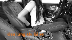 GỐI TỰA LƯNG TỰA ĐẦU CAO SU NON NGỒI GHẾ Ô TÔ TỰA LƯNG VĂN PHÒNG CAO CẤP MỀM MẠI