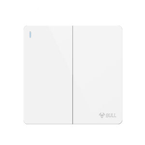 Bull | Dual Control Wall Switch G12