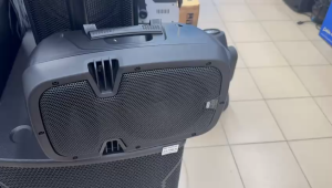 BARETONE 8" 100W PASSIVE SPEAKER SYSTEM PVC (PC)