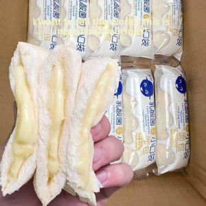 Lactobacillus Pockets Bread