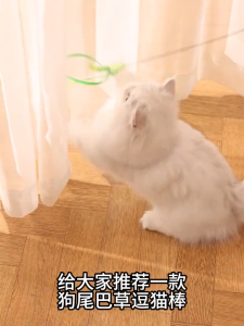 Dog Tail Grass Teaser Wand Long Rod Durable Cat Toy Self-Entertainment Handheld Cat Toy Kitten Teaser Magic Tool